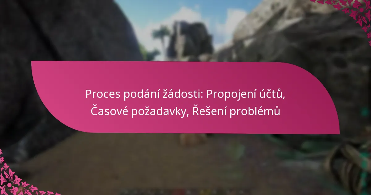 Proces podání žádosti: Propojení účtů, Časové požadavky, Řešení problémů